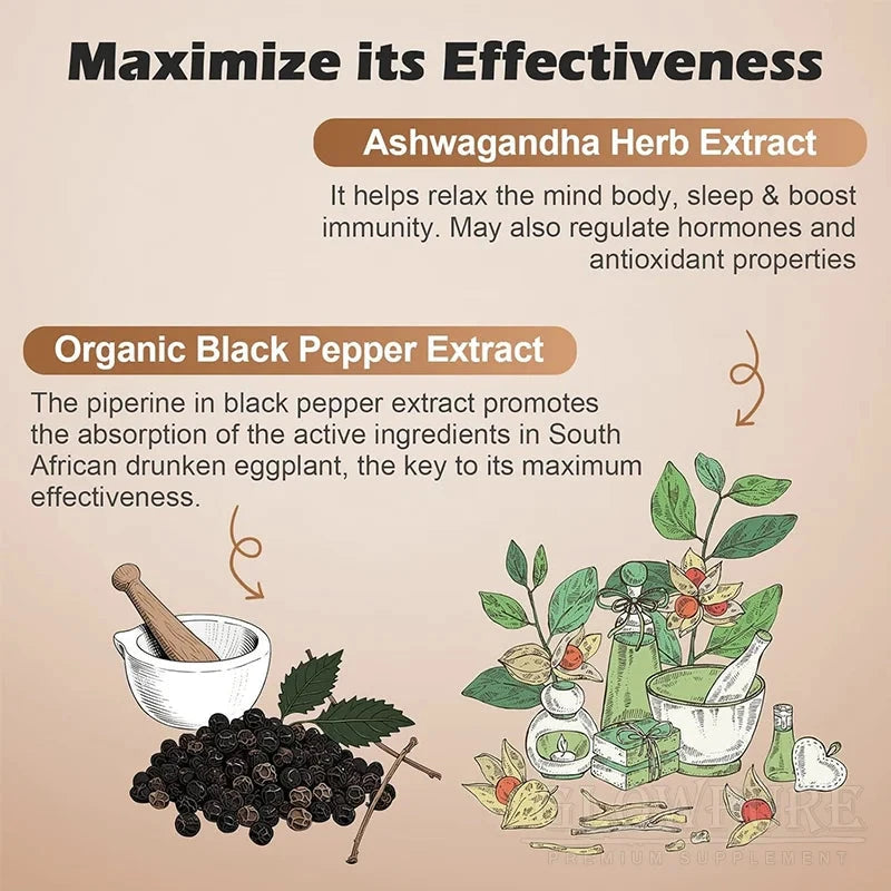 Ashwagandha Adaptogen Capsules
